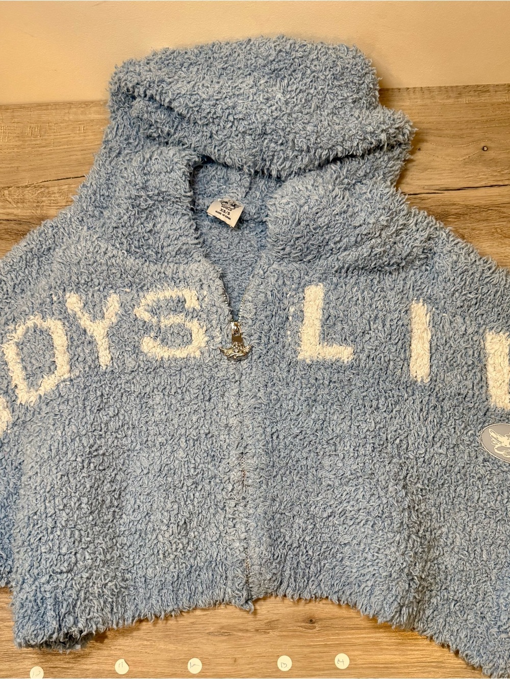 Boys Lie Sky Blue Plush Zip Hoodie with White Logo